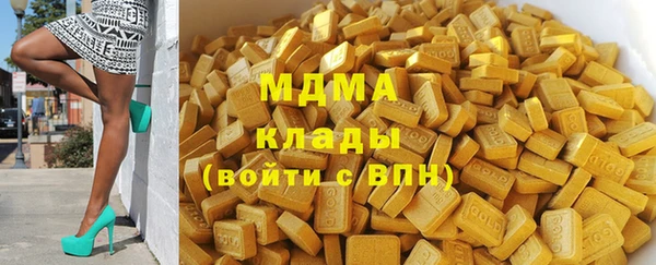 хмурый Белокуриха